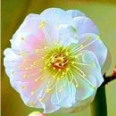 오늘하루 이미지