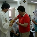 사르넬리 이미지