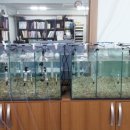 대성인쇄 - 고양시 덕양구 | 대성인쇄