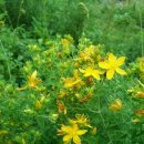 시냇물공원 이미지