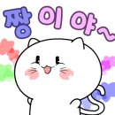 샤브향 연산점 이미지