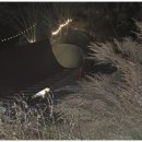 공주계곡캠핑 이미지