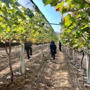 그랜드사 이미지