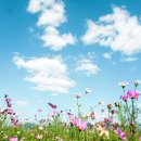 대저생태공원 이미지