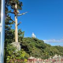 여수 여행(麗水 旅行)＜오동도(梧桐島)-돌산읍 금오산 향일암(向日庵)＞ 이미지