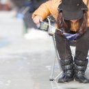 씽씽송송 이미지