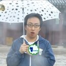 매화초앞 이미지