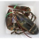 (주)박상 이미지