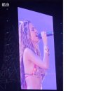 (주)원유니버스 | 원유니버스페스티벌 2024 후기, 주차, 푸드, 찢어버린타일라