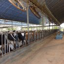 백배목장 이미지