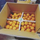 은주농장 이미지