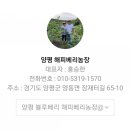 해피농장 이미지