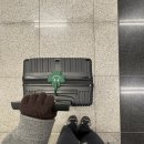 메이드가라오케 | [혼자교토 3박4일] 하루카열차 타고 교토로, 혼자 오마카세 추천, 스시 이와타 Sushi Iwata, 트래블로지...