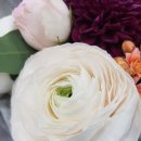 JK글로벌어린이집 이미지