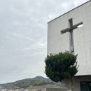 해남목장 이미지