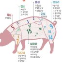 돼지고기 .부위 명칭 이미지