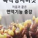 햇살담은 버섯농원