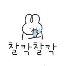 마주봄펫 이미지