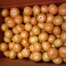 평안농장 이미지