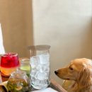 더해빙 베이커리카페 이미지