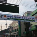 모녀청과 이미지