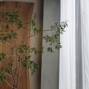 오키나라 이미지