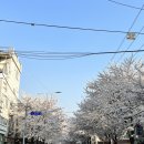희우정로 31 네이버블로그