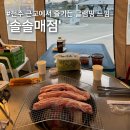 완주군 반려동물 놀이터 | 솔솔매점 전주 근교 완주 캠핑 글램핑 고기집 내돈내산