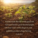 Verse of the day and prayer_261009 이미지