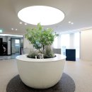 오아로피부과의원 이미지