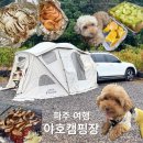 야호 | 파주 캠핑장 추천 | 애견동반 가능한 감성캠핑 N번째 방문 &#39;야호캠핑장&#39; 후기