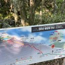 미영(아) | 2025년 5월의 제주3, 한라산 관음사 코스 등반, 미영이네 조천점 후기