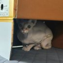 동탄노블아이경희한의원 이미지