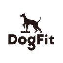 독핏코리아 이미지