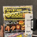 네코서비스 | 일본 가라오케 마네키네코 まねきねこ 후기, 이용 방법, 요금제, 음식 주문, 무료 음료 드링크바