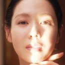 고혼진 화장품 가격, 기미 크림 효과? 성분,구매방법 총정리