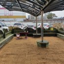 태장초등학교 병설유치원 이미지