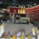 단감상회 | 일산 킨텍스 메가쇼 시즌 2 2025 방문 후기!