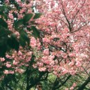 518역사공원1호 이미지