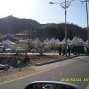 고흥봉황정 이미지