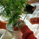 천안버들유치원 이미지