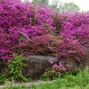 명월2리 이미지