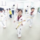 눈부시게 빛나는 태권도장 이미지