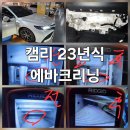 바이오크리닝 | 대구 출장 에바크리닝 23년식 캠리 내시경에 비친 곰팡이 충격