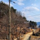 고대행정사사무소 이미지