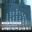 문인화/ 서예 캘리 | 데일리백 캘리그라피 가방 송죽필방 실사용 후기와 넉넉한 수납공간 확인하기