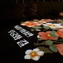 천안 독립기념관 단풍나무숲길 축제 야간개장 후기 산책 데이트 추천