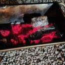 자작나무뜰 오토캠핑장 이미지