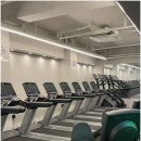 번 휘트니스 이미지