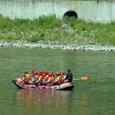 양지-3573 이미지